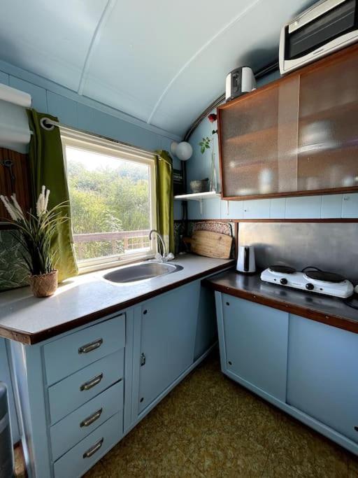 Apartamento Fjordhytten. Rebuild Train Wagon From 1937. Odense Exterior foto
